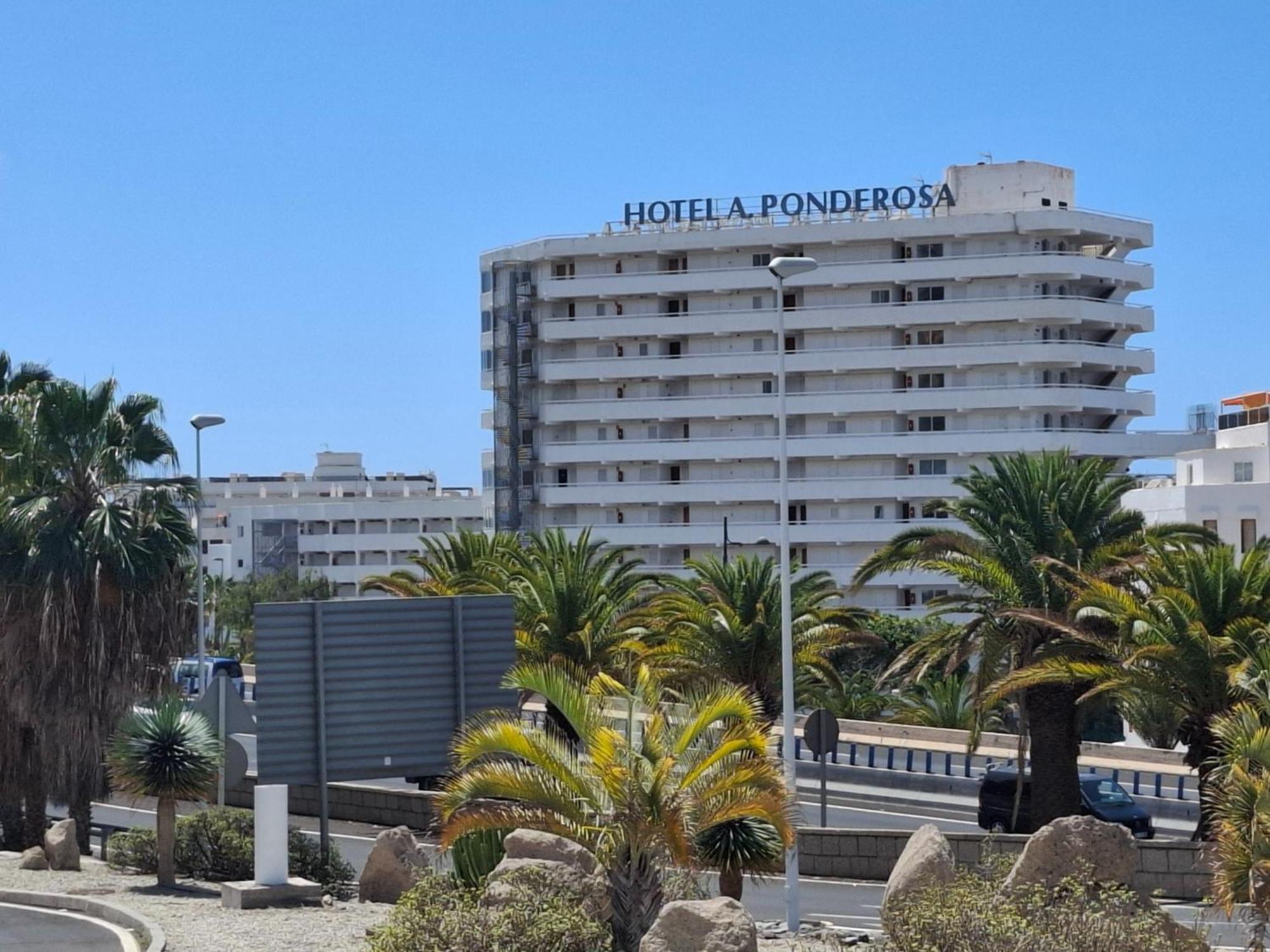 Apartamento Under The Palm Playa de las Américas